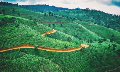 Sri Lanka